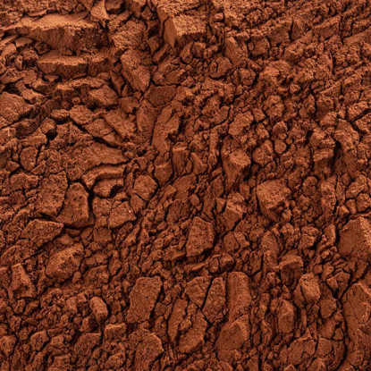 Какао-порошок 22-24% Extra Brute Cacao Barry, 1 кг Какао-порошок 22-24% Extra Brute Cacao Barry, 1 кг